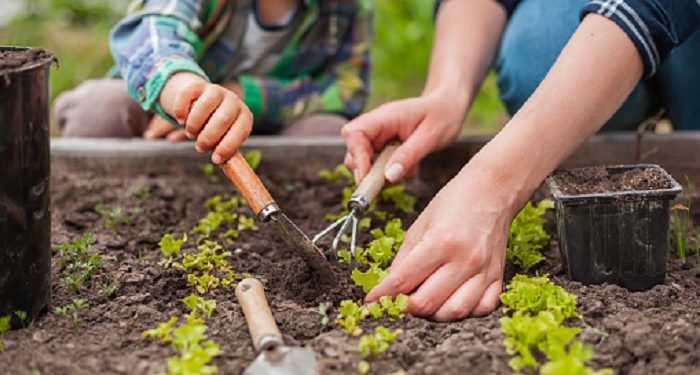 Manfaat Aktivitas Bercocok Tanam Bersama Anak