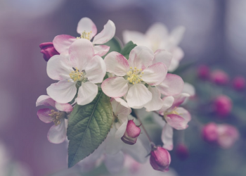 Dua Belas Cara Menjadikan Ramadan Lebih Bermakna