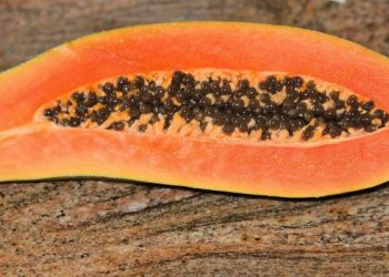 Cara melancarkan haid dengan buah ini