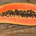 Cara melancarkan haid dengan buah ini