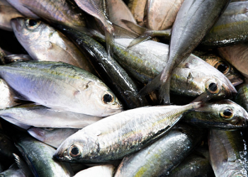 Tips Menghilangkan Bau pada Ikan