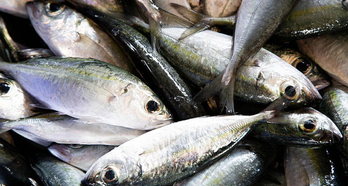 Tips Menghilangkan Bau pada Ikan