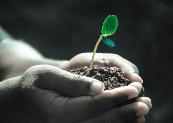 Hidup itu Sulit tapi Juga Sangat Luar Biasa