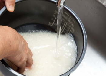 Tiga Manfaat Air Sisa Cucian Beras untuk Masakan