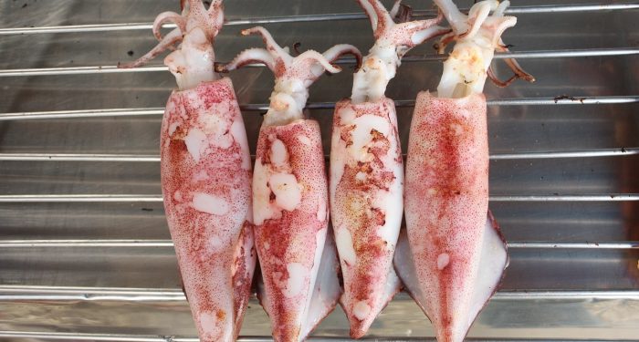 Hukum Makan Cumi-cumi