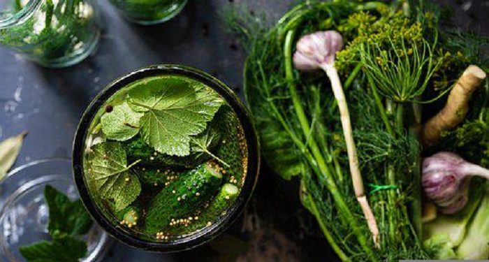 5 Daun Aromatik Paling Banyak Digunakan pada Masakan Indonesia
