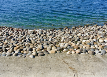 Dakwah itu Mulai dari yang Kecil