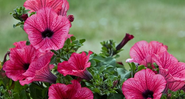 Bersyukur Membuatmu Bernilai