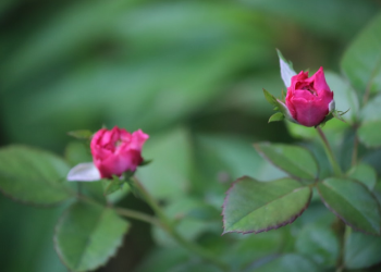 Sembilan Cara Menjadi Pribadi yang Simpatik pada Pasangan