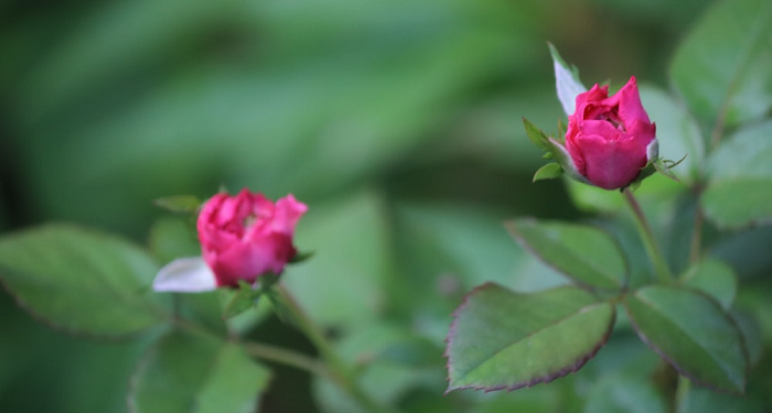 Sembilan Cara Menjadi Pribadi yang Simpatik pada Pasangan