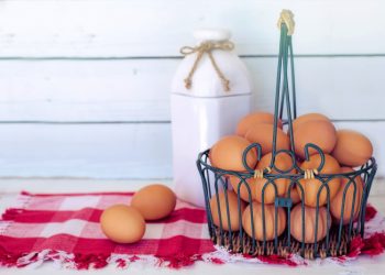 5 Manfaat Konsumsi Telur bagi Kesehatan