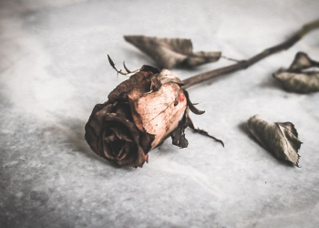 Keluhan Hamba yang Lelah dan Jawaban Allah yang Maha Gagah