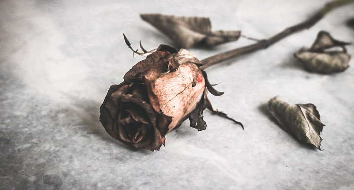 Keluhan Hamba yang Lelah dan Jawaban Allah yang Maha Gagah