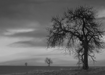 Kisah Dibalik Perintah Fir'aun untuk Membunuh Anak Laki-Laki