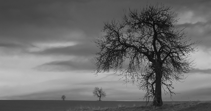 Kisah Dibalik Perintah Fir'aun untuk Membunuh Anak Laki-Laki