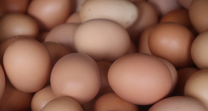 Lima Tips Mudah Mengetahui Telur Bagus dan Buruk