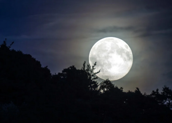 Dzulhijjah Bulan Ekonomi Syariah