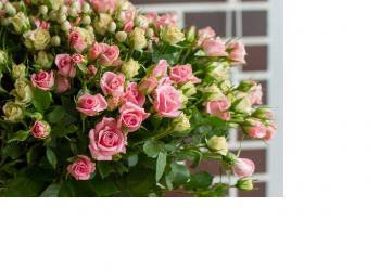 Keluarga Cerdas di Masa Pandemi