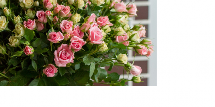 Keluarga Cerdas di Masa Pandemi