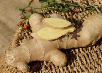 Resep Power of Six (Jahe)