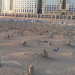 Pemakaman Baqi' di Madinah, Tempat Ramai yang Paling Sepi