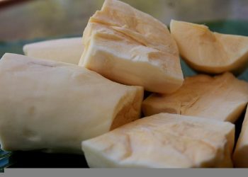 Cara Membedakan Singkong Agar Tak Salah Mengolahnya