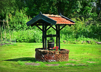 Laznas BMH Distribusikan Hewan Qurban ke Daerah Kering