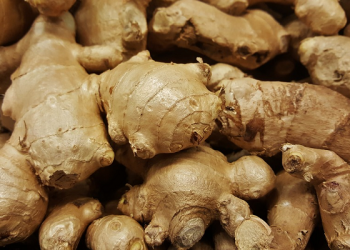 Tips Menyimpan Jahe agar Segar dan Tahan Lama