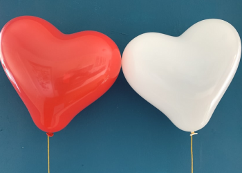 Kenapa Rasulullah Melarang Ali bin Abi Thalib Menikah Lagi?