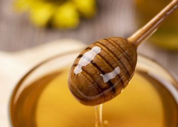 Lima bahan andalan menurut dr zaidul akbar