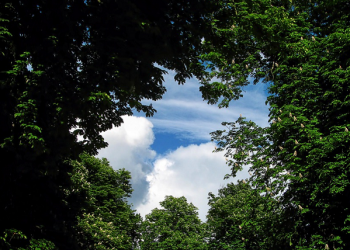 Setiap Orang Bisa Meraih Surga dengan Kelebihannya