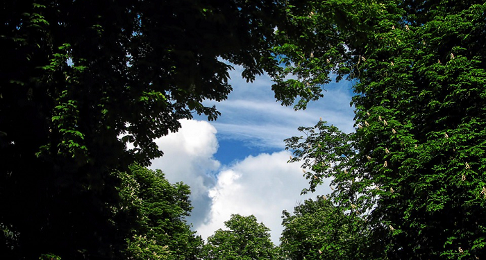 Setiap Orang Bisa Meraih Surga dengan Kelebihannya