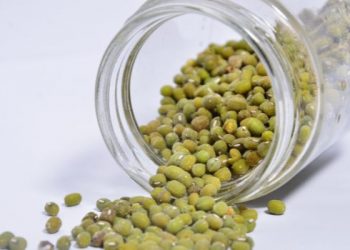 9 asupan nabati yang penting untuk bayi saat MPASI