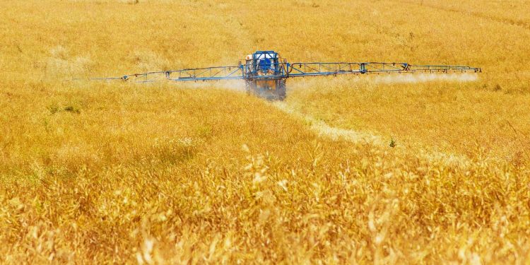 Hukum Pupuk Kimia dalam Islam