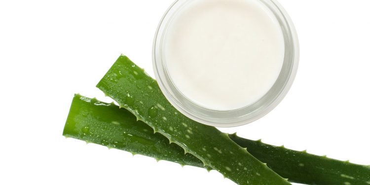 7 Manfaat Lidah Buaya untuk Kecantikan