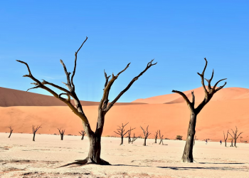 “Bisakah Saya Berzina?” Seorang Pemuda Bertanya kepada Rasulullah