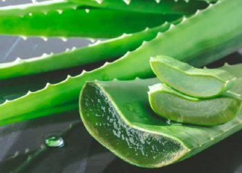 Atasi Masalah Jerawat di Punggung dengan Tiga Bahan Alami Ini