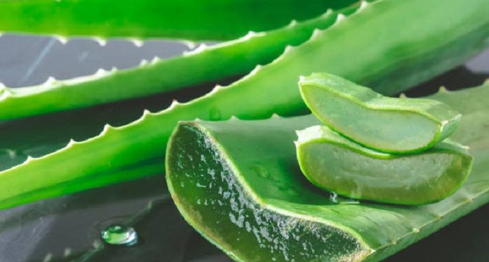 Atasi Masalah Jerawat di Punggung dengan Tiga Bahan Alami Ini