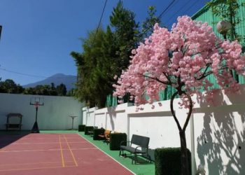 Kamu Telah Memenggal Leher Sahabatmu