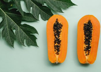 Khasiat pepaya mengkel