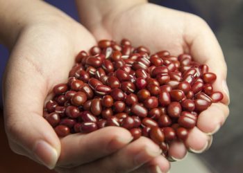 Cara Membuat Minuman Sari Kacang Hijau dan Kacang Merah untuk Menambah ASI