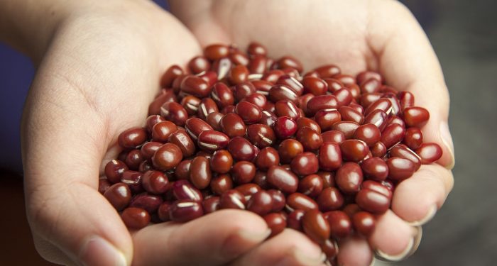 Cara Membuat Minuman Sari Kacang Hijau dan Kacang Merah untuk Menambah ASI