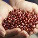 Cara Membuat Minuman Sari Kacang Hijau dan Kacang Merah untuk Menambah ASI