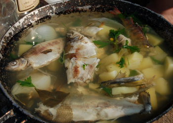 Tips Memasak Sup Ikan agar Tidak Bau Amis