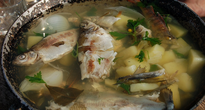 Tips Memasak Sup Ikan agar Tidak Bau Amis