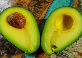 Ini Cara Mudah Mematangkan Alpukat Merata dan Tidak Berserat Hitam