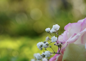 Pasutri Wajib Tahu, Ini Sepuluh Cara Memupuk Rasa Cinta di Saat Kecewa