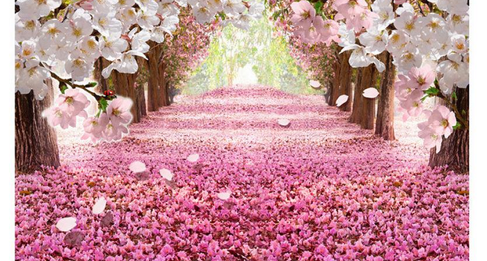 Siapakah Orang yang Dirindukan Surga