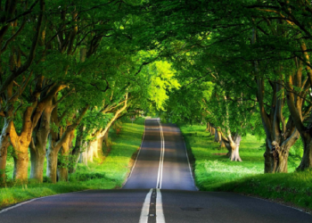 Cara Mendapatkan Derajat Shalihin