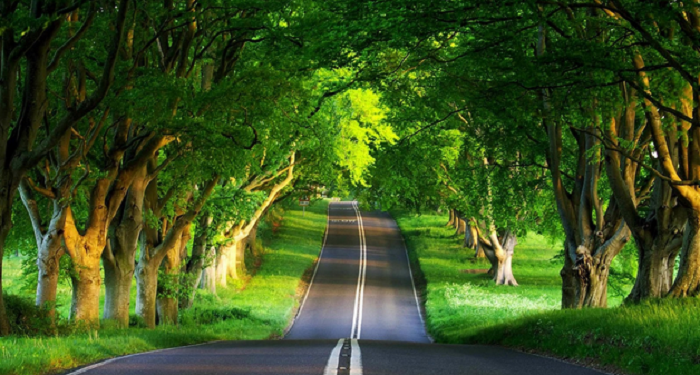 Cara Mendapatkan Derajat Shalihin